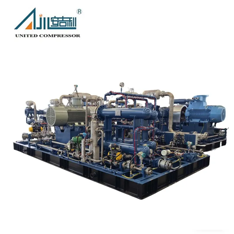 Поршневой компрессор водорода DW-6/(0–0.2)-23