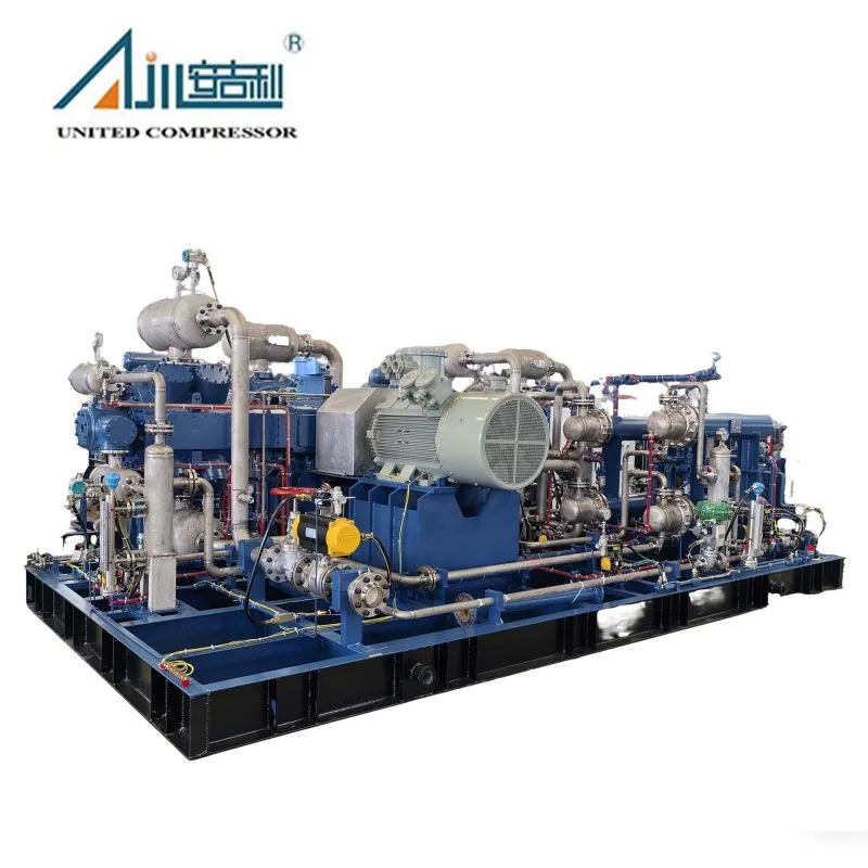 Поршневой компрессор водорода DW-6/(0–0.2)-23