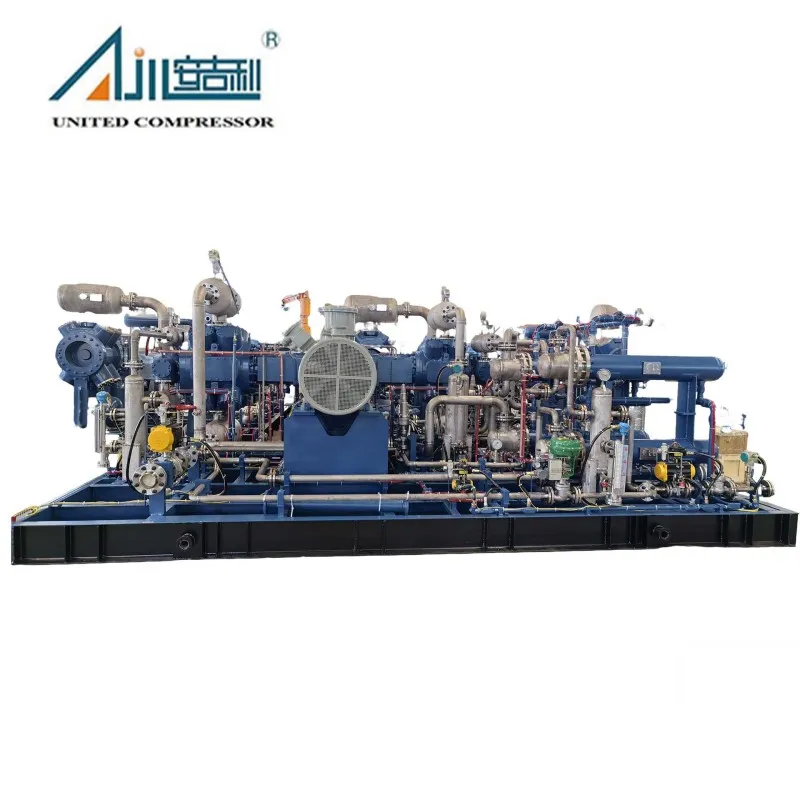 Поршневой компрессор водорода DW-6/(0–0.2)-23