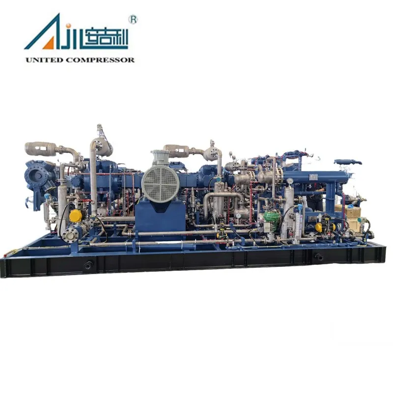 Поршневой компрессор водорода DW-6/(0–0.2)-23