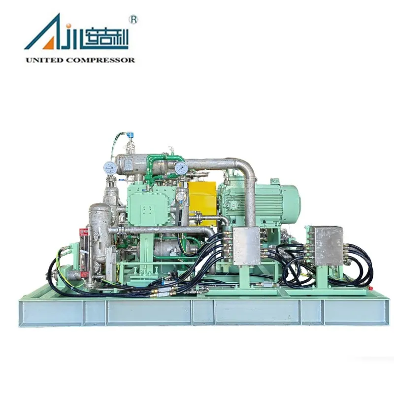 Поршневой компрессор водорода DW-9.55,0.03–16