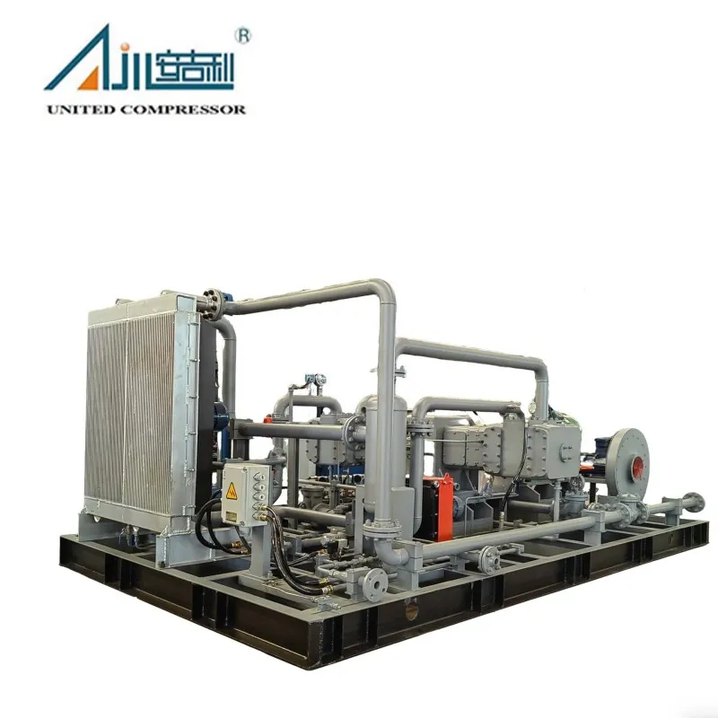 Поршневой компрессор газа БОГ DFW-4.2/(0.2–1.5)-12