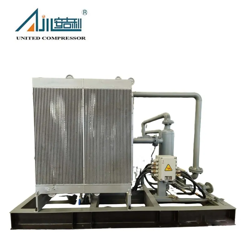 Поршневой компрессор газа БОГ DFW-4.2/(0.2–1.5)-12