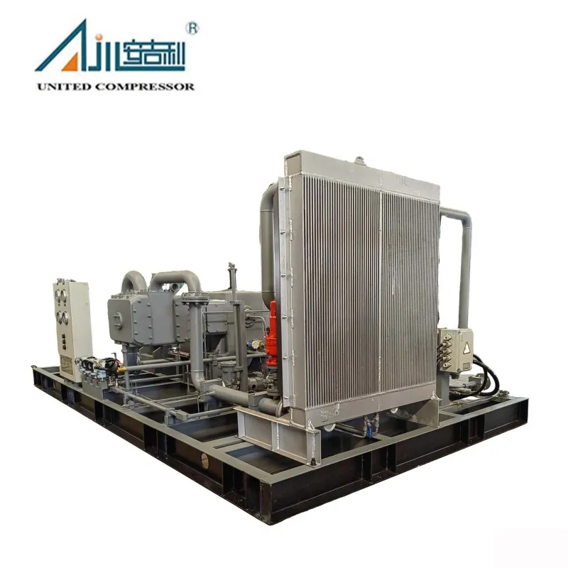 Поршневой компрессор газа БОГ DFW-4.2/(0.2–1.5)-12