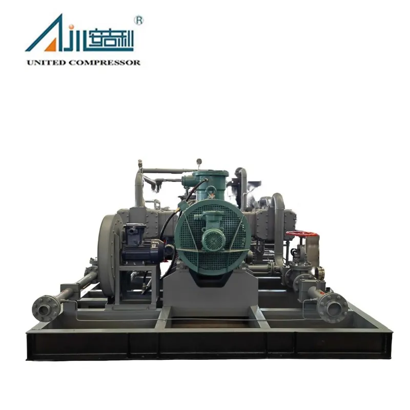 Поршневой компрессор газа БОГ DFW-4.2/(0.2–1.5)-12