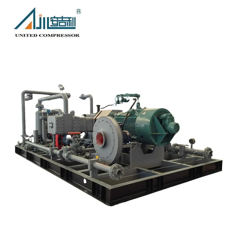 Поршневой компрессор газа БОГ DFW-4.2/(0.2–1.5)-12