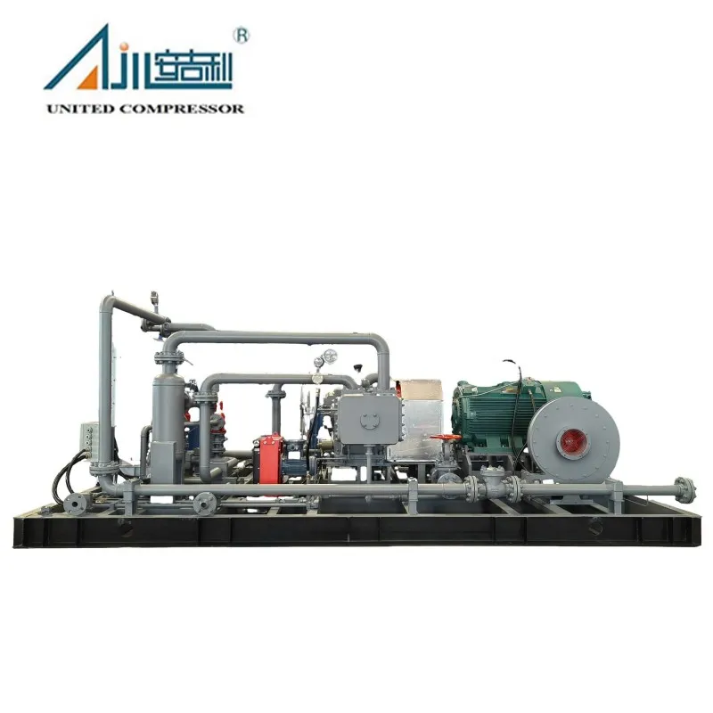 Поршневой компрессор газа БОГ DFW-4.2/(0.2–1.5)-12