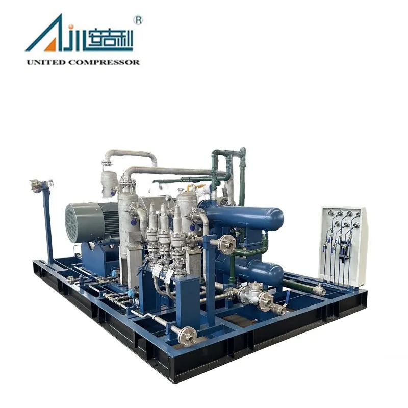 Поршневой компрессор диоксида углерода DW-4.8/3