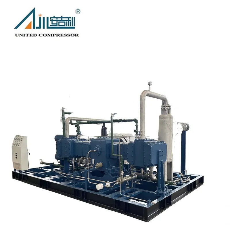 Поршневой компрессор диоксида углерода DW-4.8/3