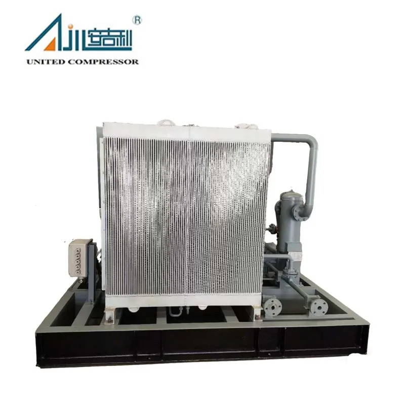 Поршневой компрессор природного газа DFW-5.3/3-15