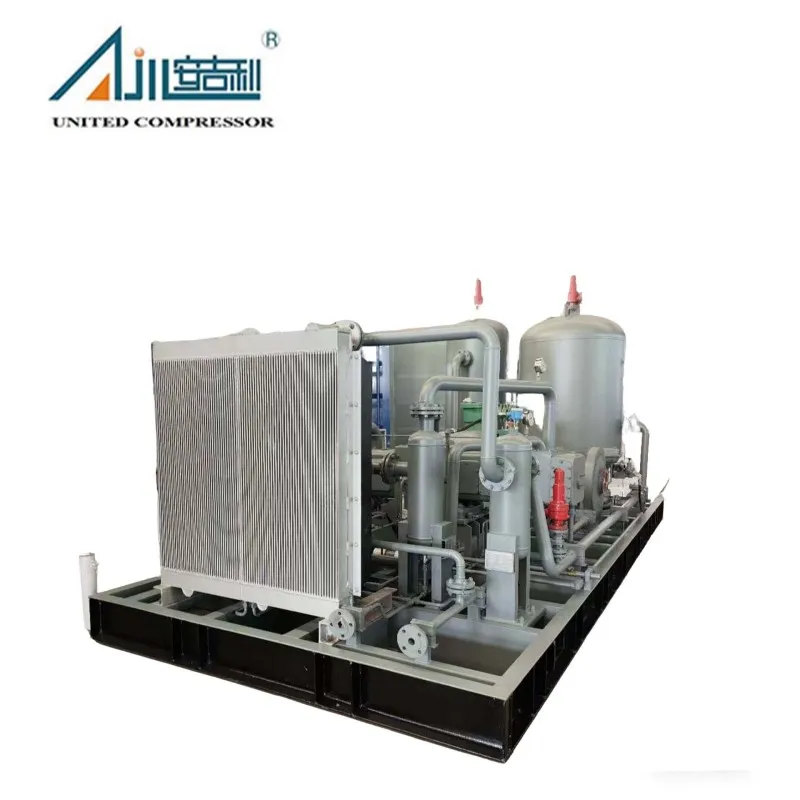 Поршневой компрессор природного газа DFW-5.3/3-15