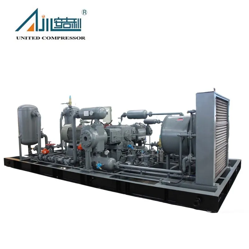 Поршневой компрессор природного газа DWFD-2.8/(2–10)-55