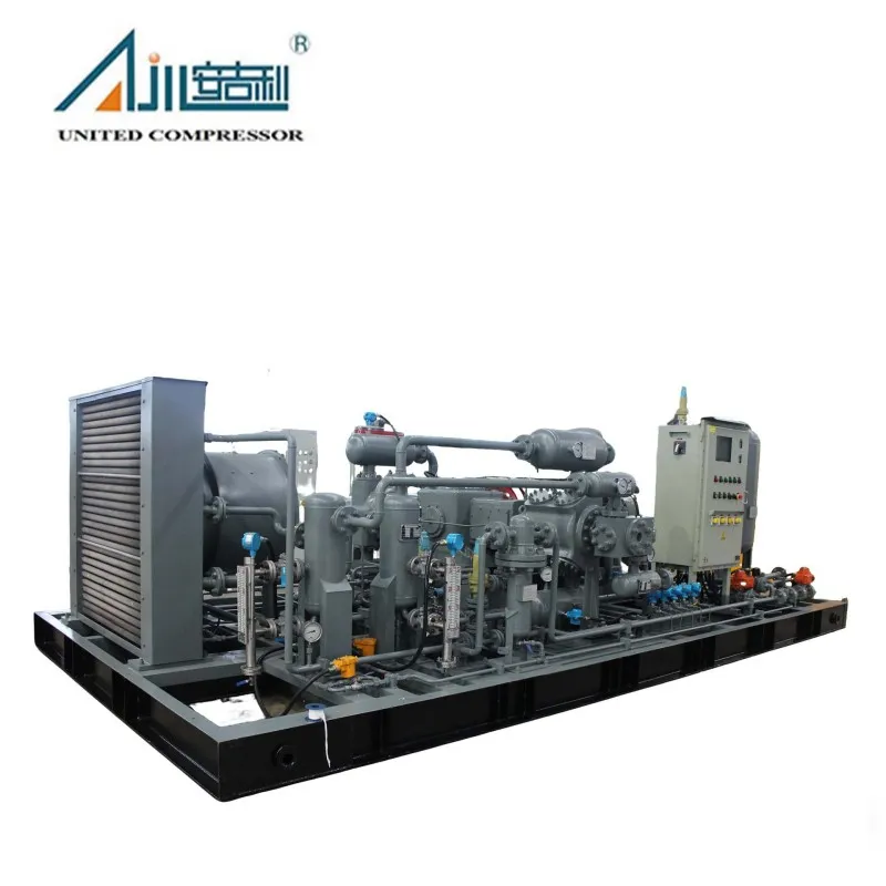 Поршневой компрессор природного газа DWFD-2.8/(2–10)-55