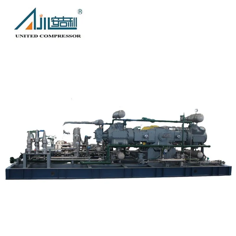 Поршневой компрессор синтез-газа DW-2.1/4–55