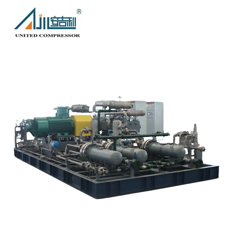 Поршневой компрессор синтез-газа DW-2.1/4–55