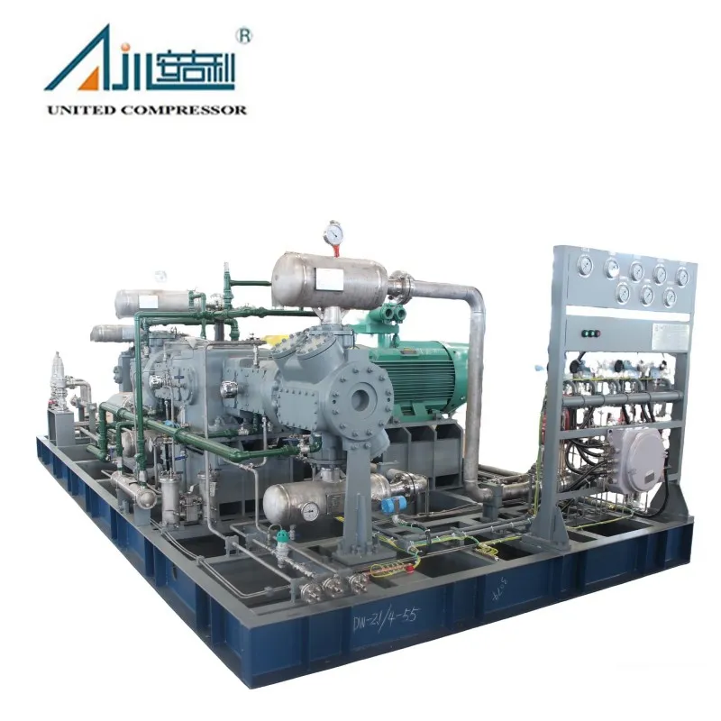 Поршневой компрессор синтез-газа DW-2.1/4–55