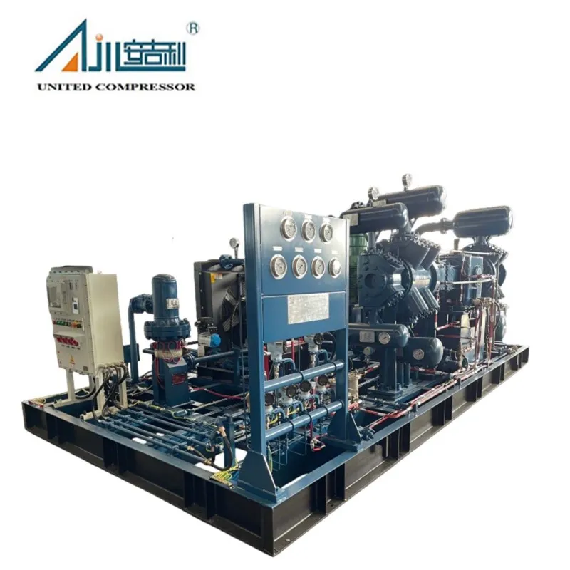 Поршневой компрессор смешанного газа DFW-14/0.4–20