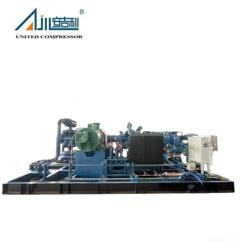 Поршневой компрессор смешанного газа DFW-14/0.4–20