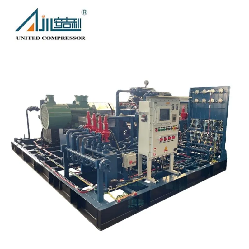 Поршневой компрессор смешанного газа DFW-2.63/0.5–19