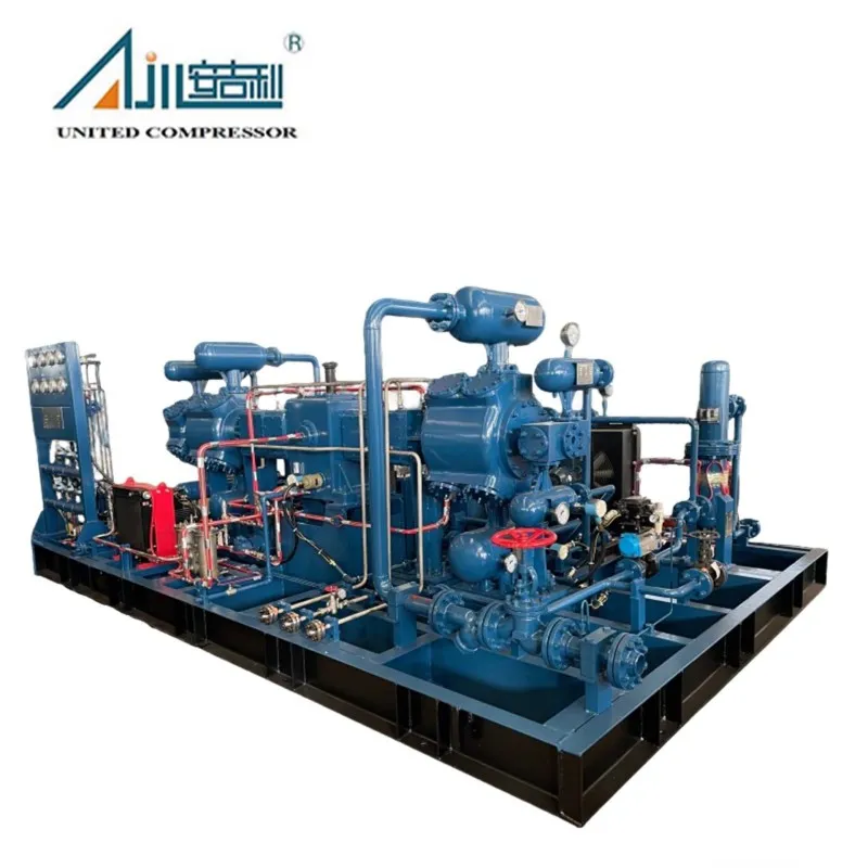 Поршневой компрессор смешанного газа DFW-2.63/0.5–19