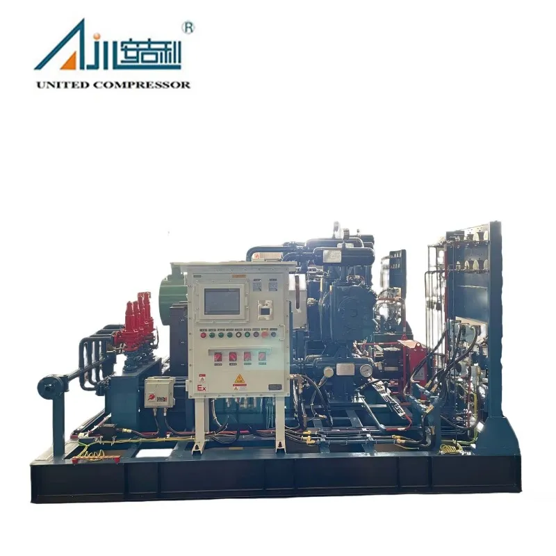 Поршневой компрессор смешанного газа DFW-2.63/0.5–19