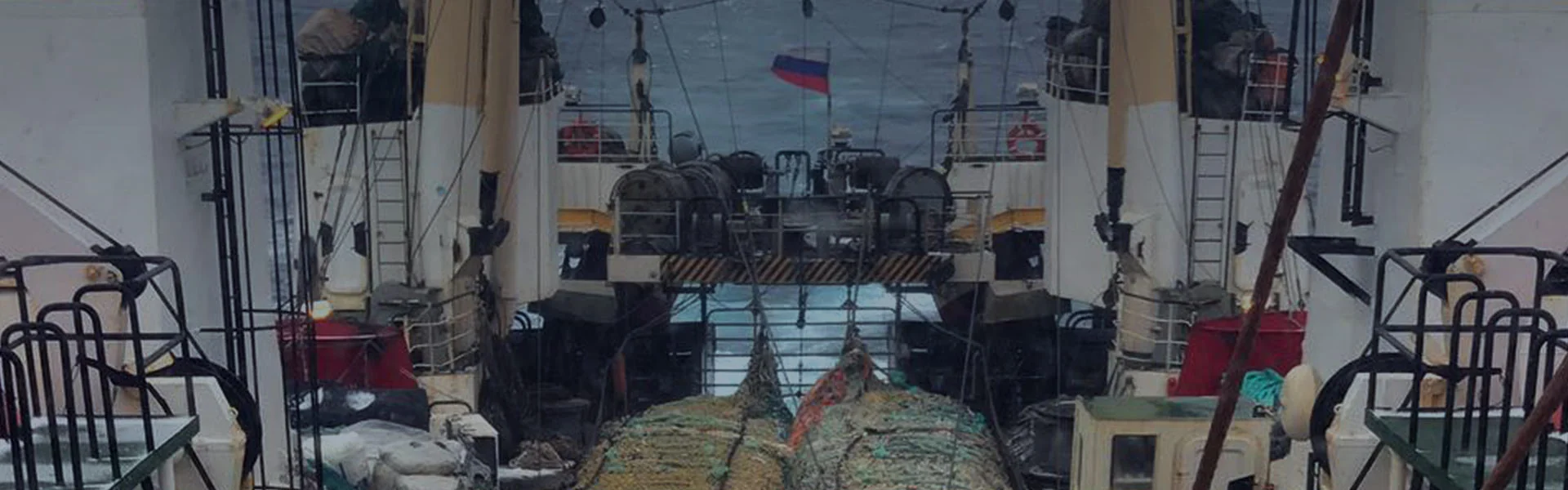 Китай: Компания — разработчик морского программного обеспечения и цифровых решений, надежные Поставщики