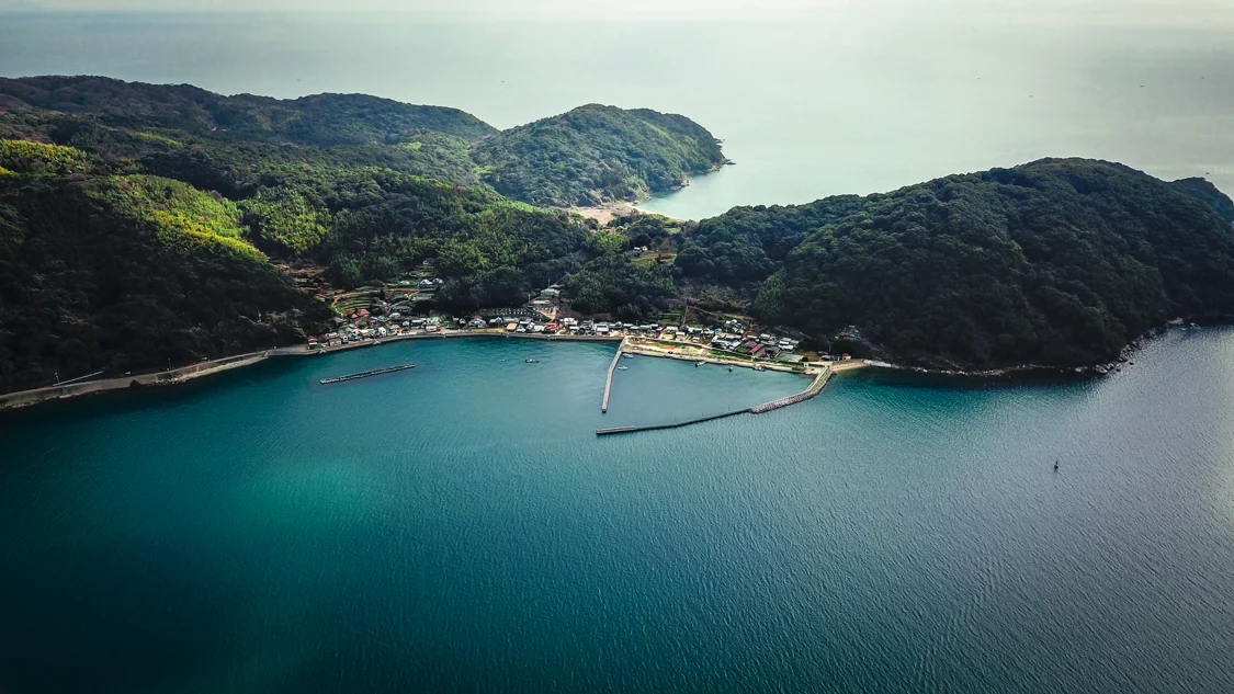 Китай Владелец ролкеров / автомобилевозов (PCTC): ведущие Поставщики