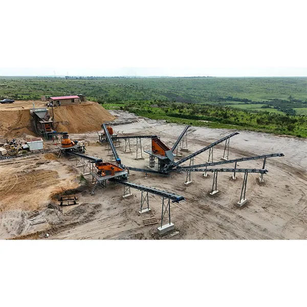 Зарубежные проекты Shanghai Xionghou Machinery процветают: индивидуальные решения получают мировое признание