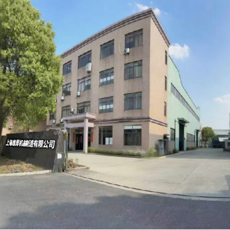 Сюнхоу Международный отмечает двадцатилетие своего развития