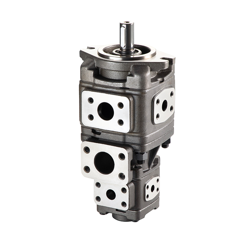 VG ВНУТРЕННИЙ ЗУБЧАТЫЙ НАСОС-ДВОЙНОЙ НАСОС