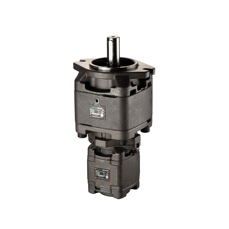 VG ВНУТРЕННИЙ ЗУБЧАТЫЙ НАСОС-КОМБИНИРОВАННЫЙ НАСОС