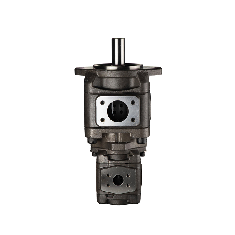 VG ВНУТРЕННИЙ ЗУБЧАТЫЙ НАСОС-КОМБИНИРОВАННЫЙ НАСОС