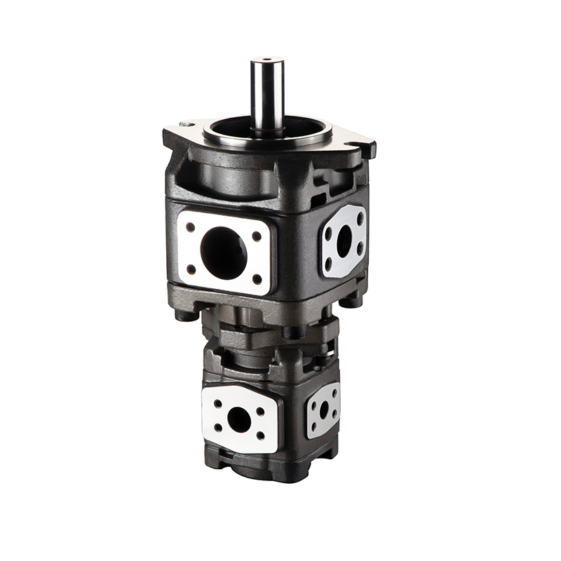 VG ВНУТРЕННИЙ ЗУБЧАТЫЙ НАСОС-КОМБИНИРОВАННЫЙ НАСОС