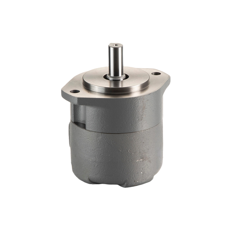 Одинарные насосы SQP