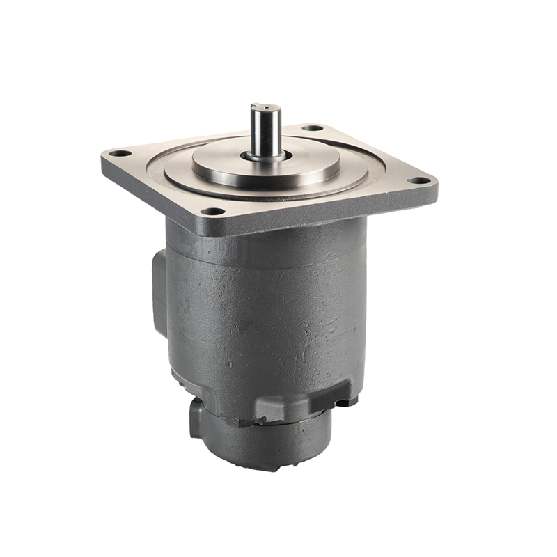 Сдвоенный насос SQP