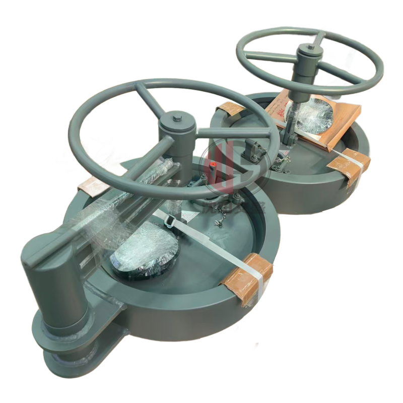 Быстросъёмная крышка с замковым кольцом ASME