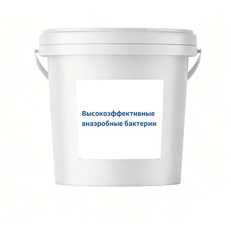 Высокоэффективные анаэробные бактерии
