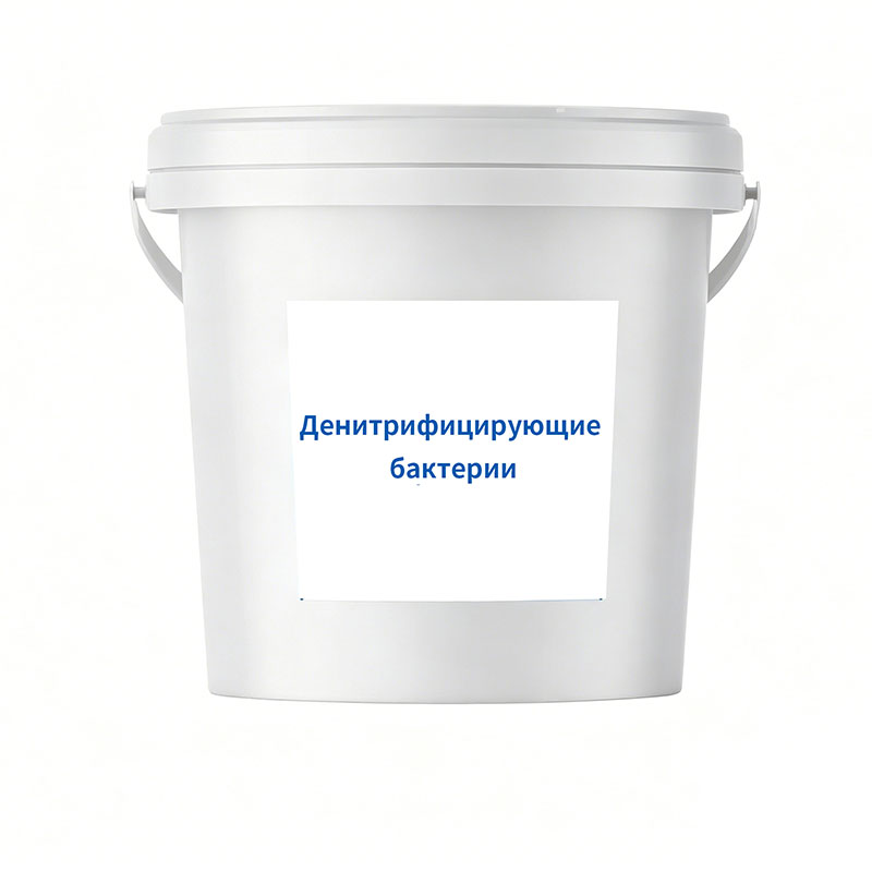 Денитрифицирующие бактерии