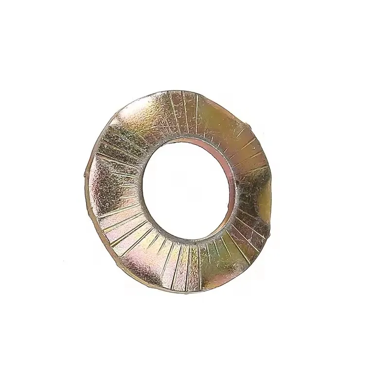 DIN6795 Шайба пружинная（Дисковая форма）