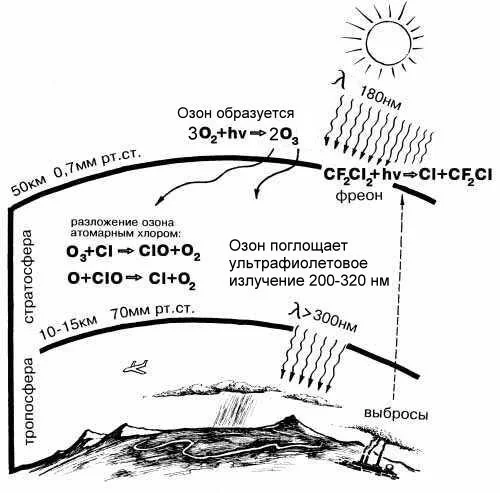 Китай Крупная озоновая система: Полный гид 2024