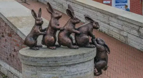 От основного продукта питания до национального деликатеса: столетняя кулинарная эволюция кроличьего мяса в России.