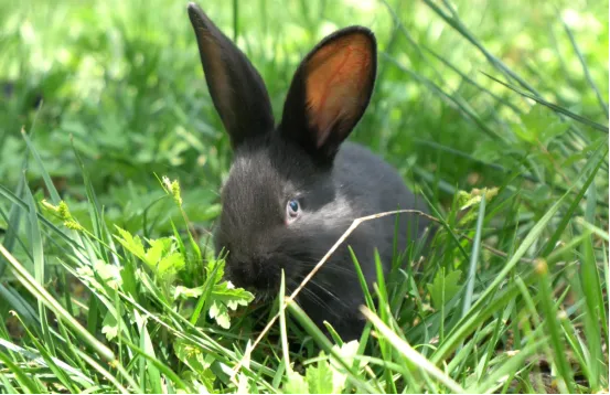 0c3f1749f346aa4a163a34eab6e83d27