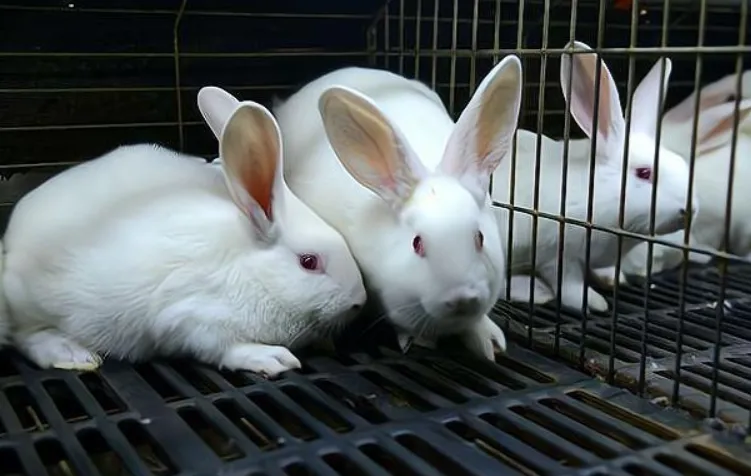 267d159abaadcbc3390ce4e9c47f8a1d