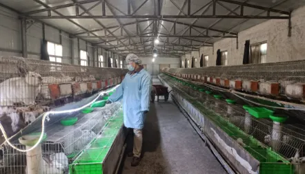 3fa107b9039e895364c14c25589a69bd