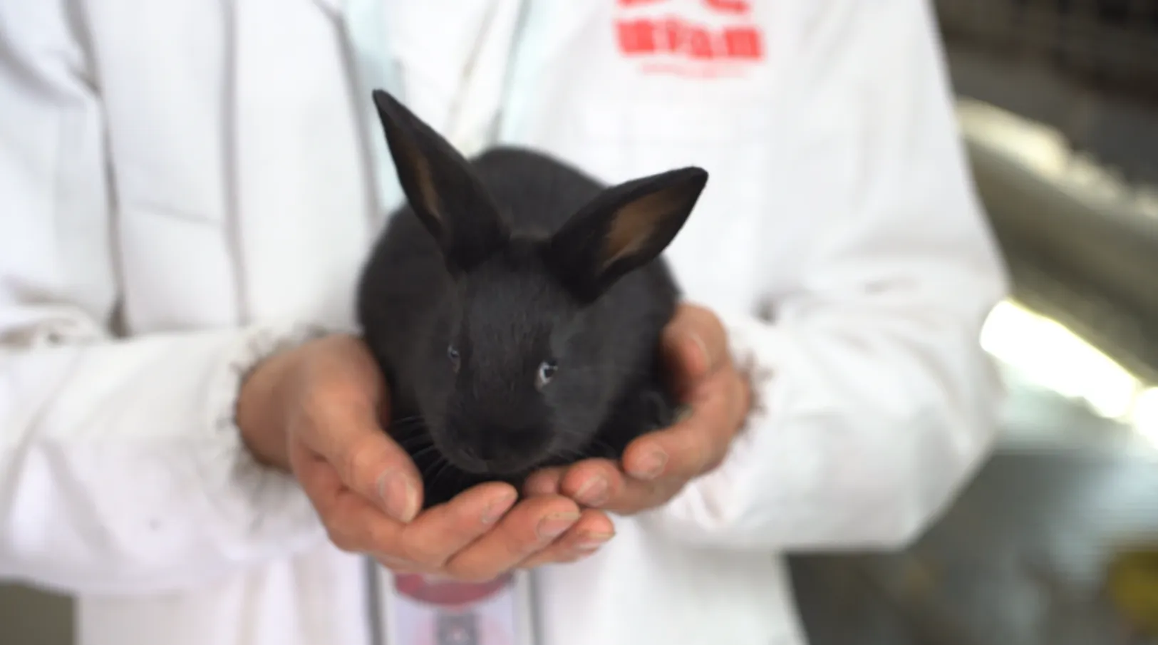 4fb8265d152cf4c21c70eb4ed90550eb