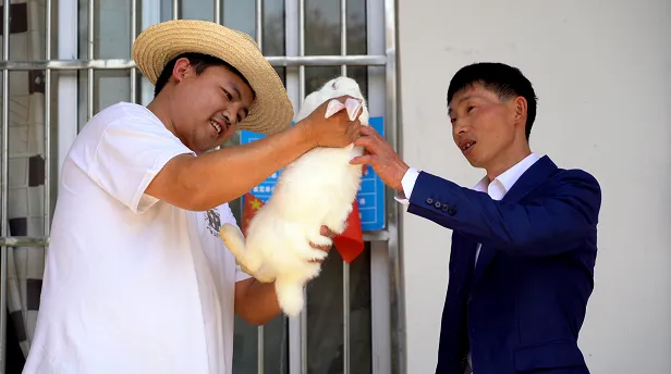 70e7cc7c69e8207ea9e54889578a387b