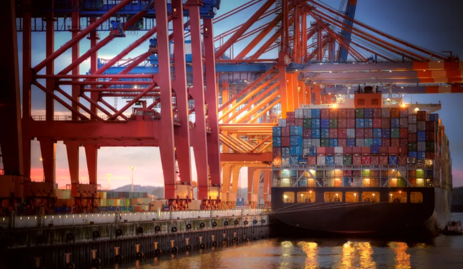 Импорт кроличьего мяса из России резко вырос по сравнению с прошлым годом! Китай становится ключевым поставщиком