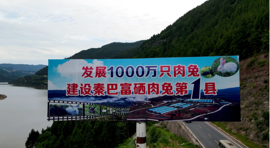 9a8ab74db40da56a03fca927f0a422e4