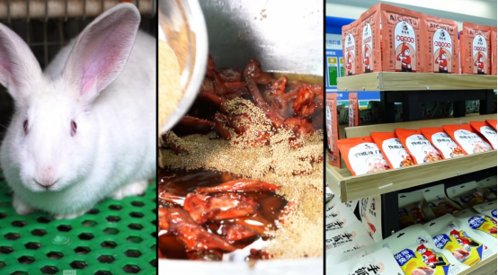 a1c9ed0e3f99a72fd9133811f6de12d3