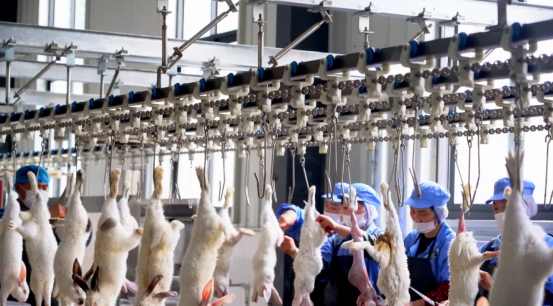 aafe9355324fbb9f54b62c9866aefb2a